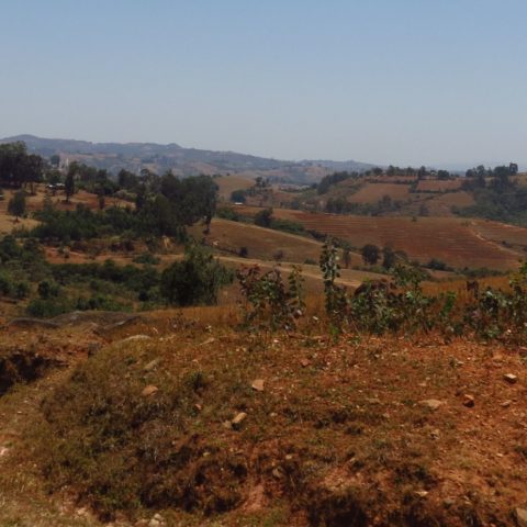 Rural Ethiopia