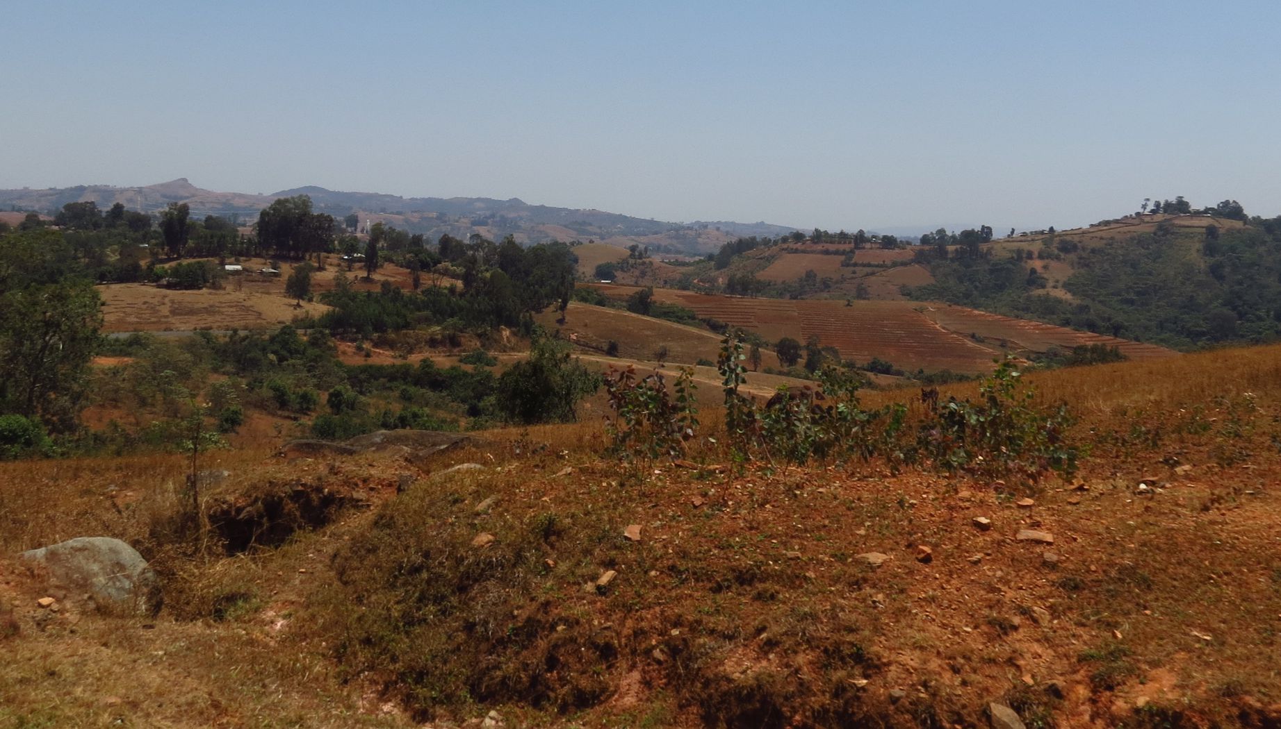 Rural Ethiopia