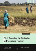 Teff farming in Ethiopia