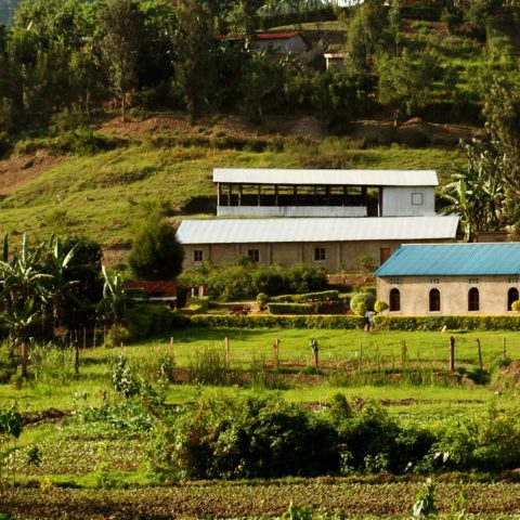 Farm in rwanda