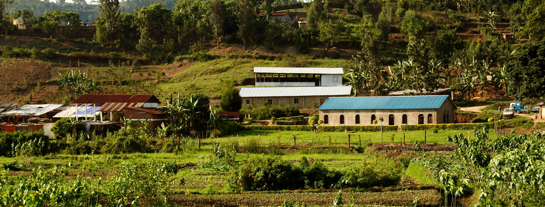 Farm in rwanda