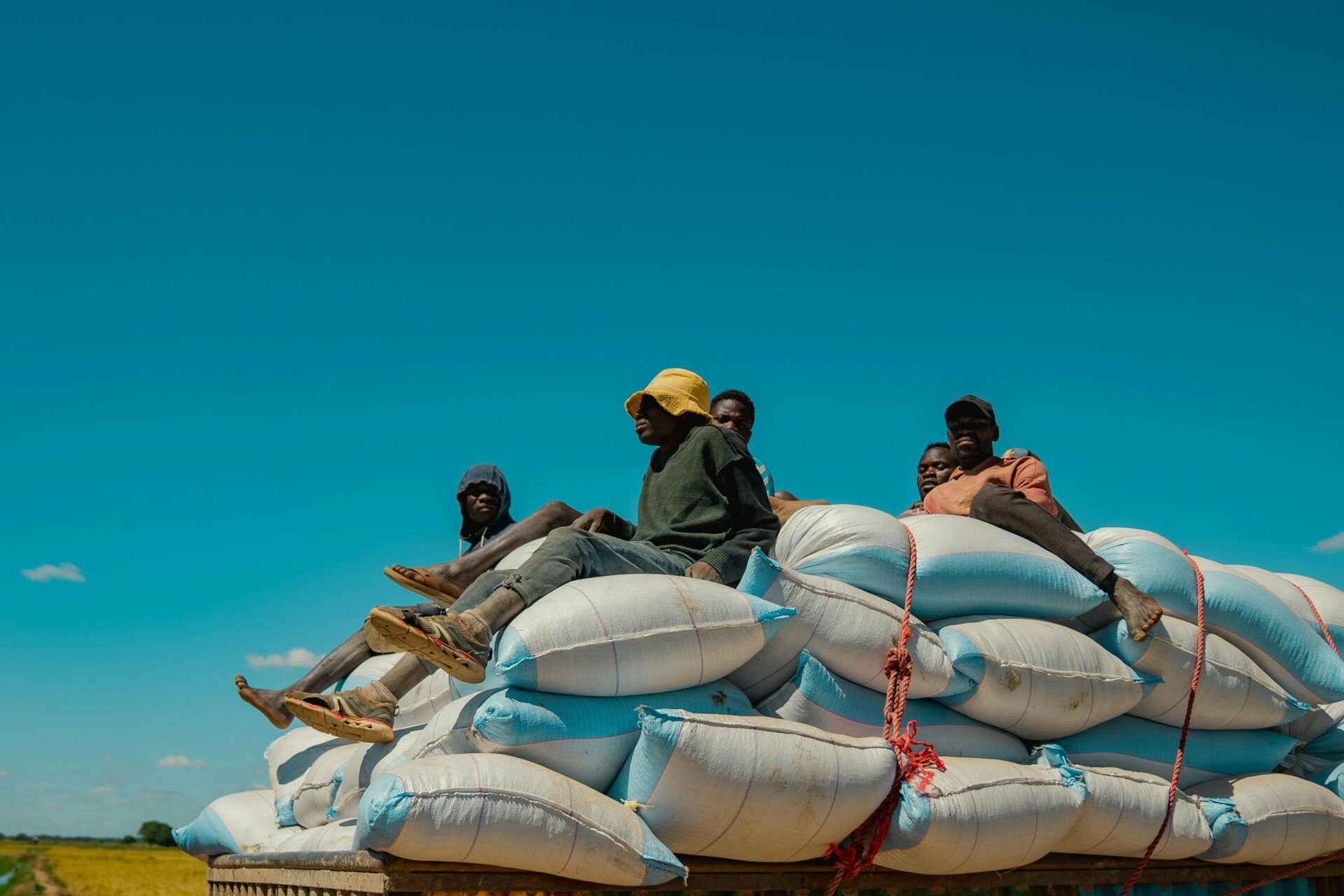 social protection tigray conflict