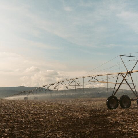 7f5a0037 resampled mirrored