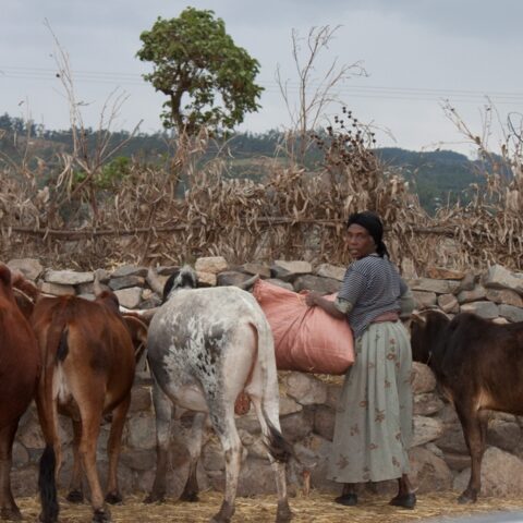 Et woman farmer bioversity international t. wolday flickr