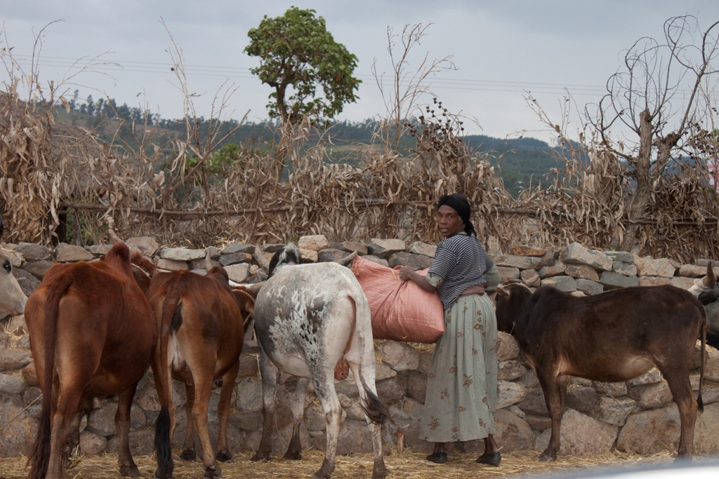 Et woman farmer bioversity international t. wolday flickr