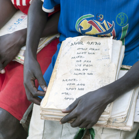 Ed in et shutterstock 193025045