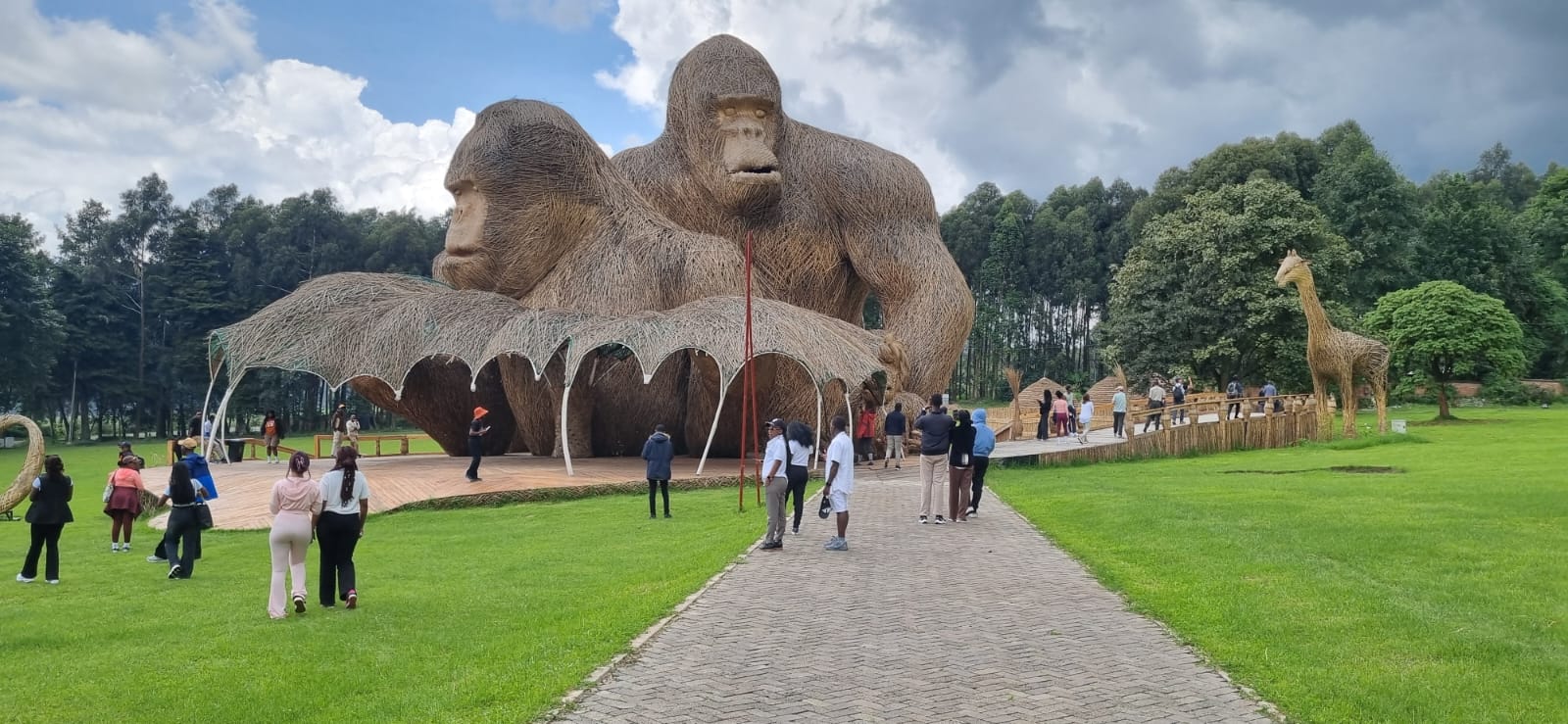 Volcanoes National Park, Musanze, Rwanda