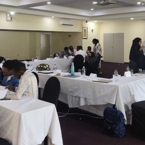 Capacity building, landscape, faiza (1)