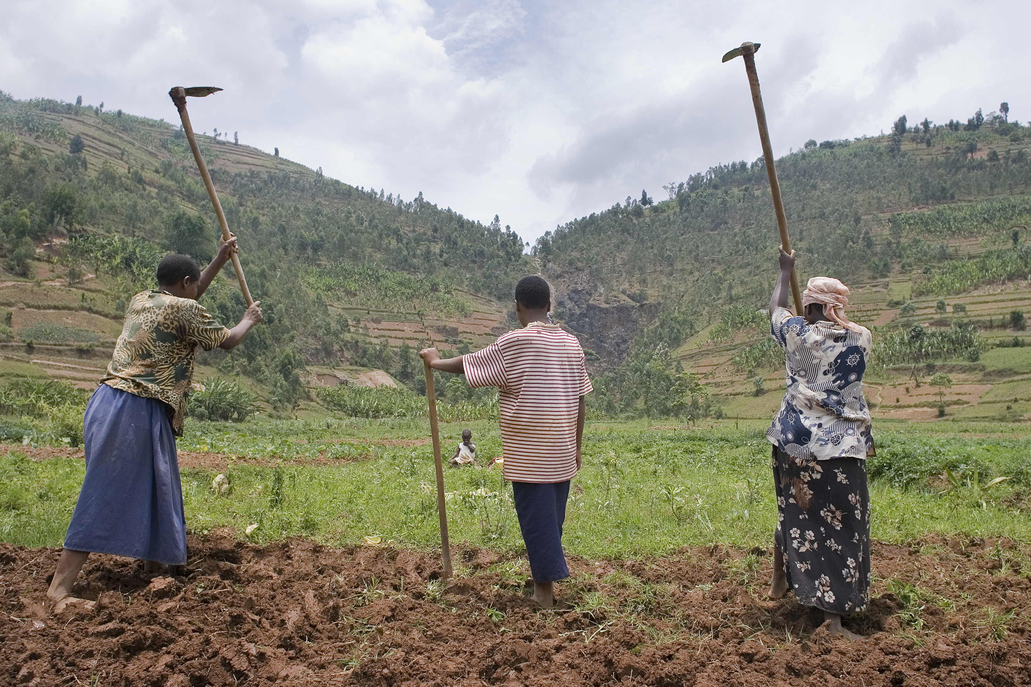 Burera, Rwanda. September, 2008: Women at work in dried marshlands